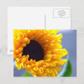 Carte Postale Inspirations saisonnières tournesol (Devant / Derrière)