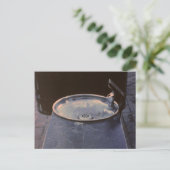 Carte Postale Instantanés Denver (Debout devant)