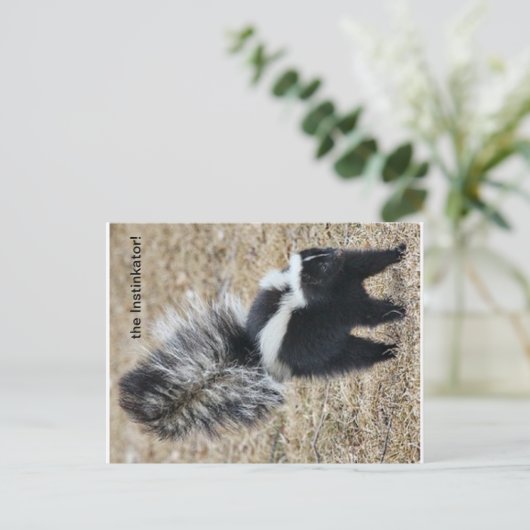 carte postale Instinkator Skunk (Debout devant)