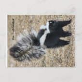 carte postale Instinkator Skunk (Devant)