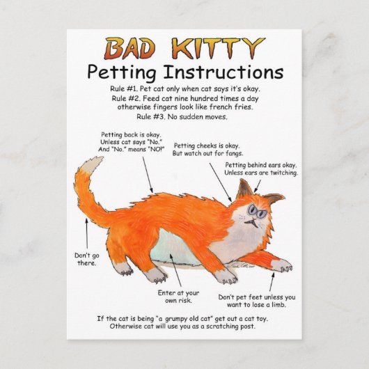 Carte Postale Instructions de mouture de Kitty Bad (Devant)