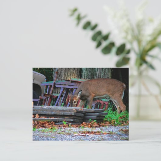 Carte Postale Intégration urbaine (Debout devant)