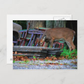 Carte Postale Intégration urbaine (Devant / Derrière)