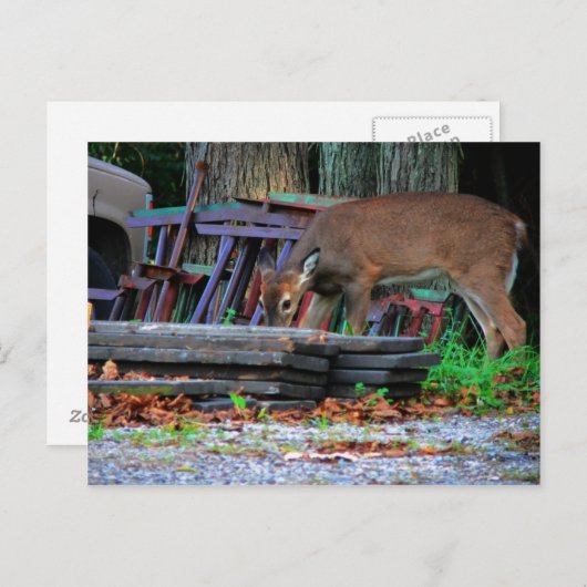 Carte Postale Intégration urbaine (Devant / Derrière)