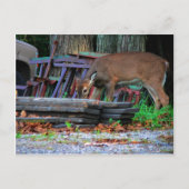 Carte Postale Intégration urbaine (Devant)