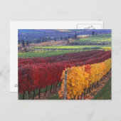 Carte Postale Intense couleur rouge et jaune sur Gehring (Devant / Derrière)