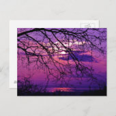 Carte Postale Intense et Vive - Paysage du coucher de soleil vio (Devant / Derrière)