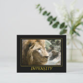 Carte Postale Intensité (Debout devant)