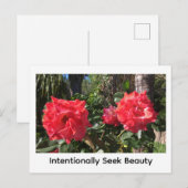 Carte Postale Intentionally Seek Beauty (Devant / Derrière)