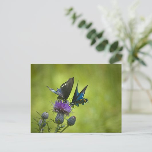 Carte Postale Interconnecté (Debout devant)