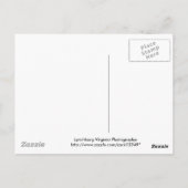 Carte Postale Interconnecté (Dos)