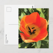Carte Postale Intérieur de la tulipe orange (Devant / Derrière)