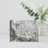 Carte Postale Intérieur d'une forêt primitive dans les Amazones (Debout devant)