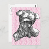 Carte postale intérieure externe (Devant / Derrière)