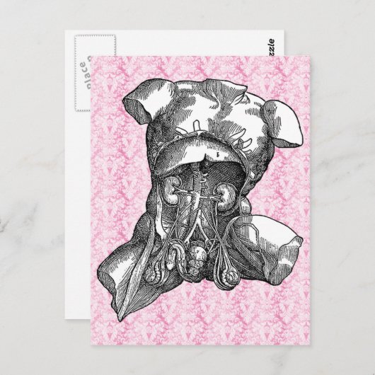 Carte postale intérieure externe (Devant / Derrière)