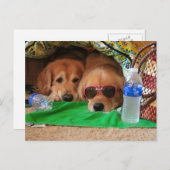 Carte postale intérieure Golden Retriever (Devant / Derrière)