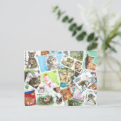 Carte Postale Internationale Cat Postage (Debout devant)