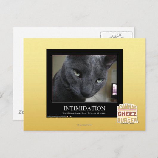Carte Postale Intimidation (Devant / Derrière)