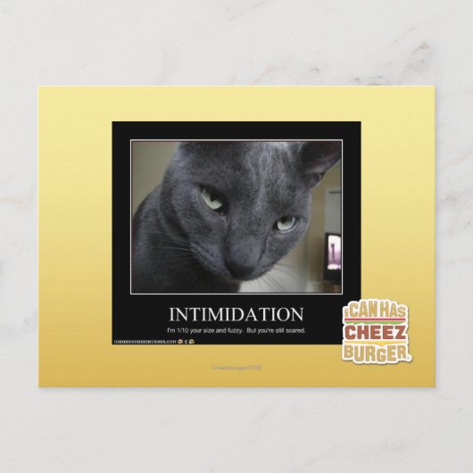 Carte Postale Intimidation (Devant)