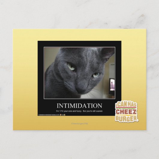 Carte Postale Intimidation (Devant)