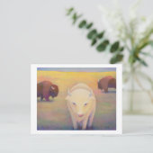 Carte Postale Intitulé : Peu commun - bison blanc sacré (Debout devant)