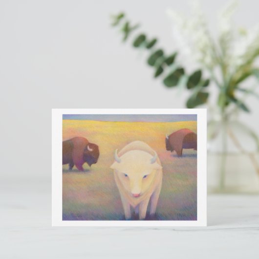 Carte Postale Intitulé : Peu commun - bison blanc sacré (Debout devant)