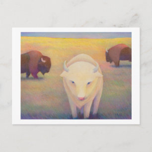 Carte Postale Intitulé : Peu commun - bison blanc sacré