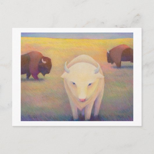 Carte Postale Intitulé : Peu commun - bison blanc sacré (Devant)