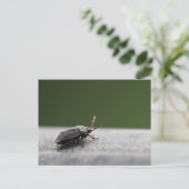 Carte Postale Intriguant Macro Shot d'un puzzle - Nature Post (Debout devant)