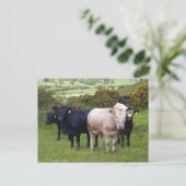 Carte Postale Invasion (Debout devant)