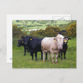 Carte Postale Invasion (Devant / Derrière)