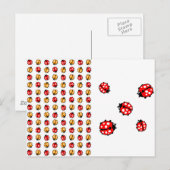 Carte Postale Invasion de coccinelles (Devant / Derrière)