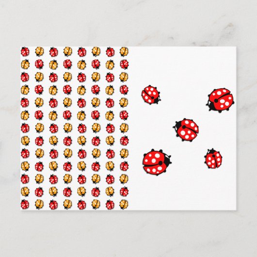 Carte Postale Invasion de coccinelles (Devant)
