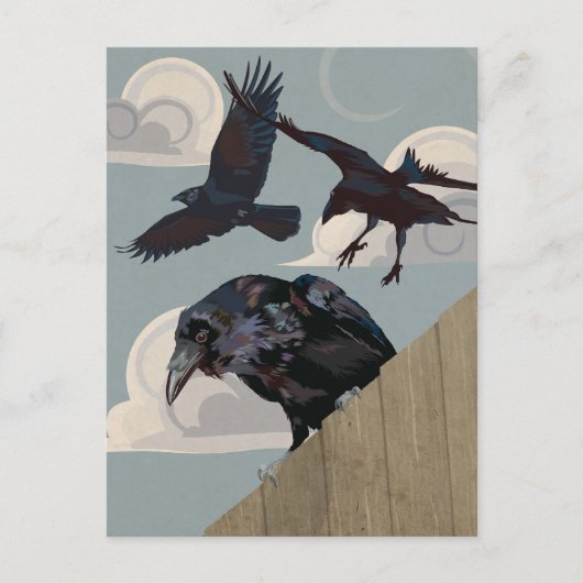 Carte Postale Invasion du corbeau (Devant)