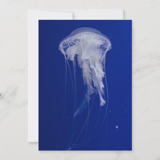 Carte postale Invitation 5" x 7" (Devant)