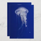 Carte postale Invitation 5" x 7" (Devant / Derrière)