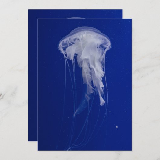 Carte postale Invitation 5" x 7" (Devant / Derrière)