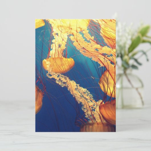 Carte postale Invitation 5" x 7" (Debout devant)