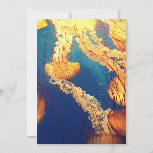 Carte postale Invitation 5" x 7" (Dos)