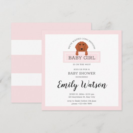 Carte postale Invitation Baby shower Dachshund (Devant / Derrière)