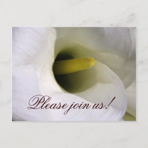 Carte postale invitation Calla lily