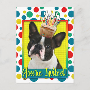 Carte Postale Invitation Cupcake - Boston Terrier