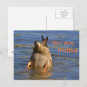 Carte Postale Invitation de canard à Dunking (Devant / Derrière)