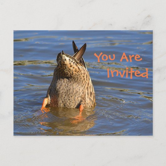 Carte Postale Invitation de canard à Dunking (Devant)
