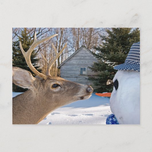 Carte Postale Invitation de déjeuner (Devant)