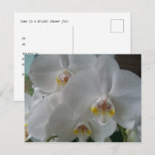 Carte Postale Invitation de douche nuptiale Orchidées blanches C (Devant / Derrière)