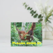 Carte Postale Invitation de la fête des Échanges animaux mignons (Debout devant)