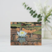 Carte postale Invitation de la fête solstice d'été (Debout devant)