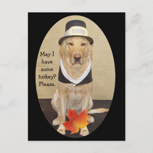 Carte Postale Invitation de Thanksgiving (Devant)