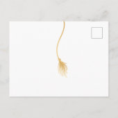 Carte Postale Invitation du Grad Casquette Graduation Party (Dos)